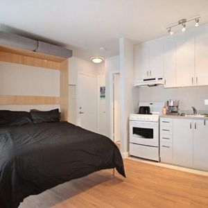 Loft entièrement meublé à louer Saint-Jean-Baptiste octobre 2026 - Photo 2
