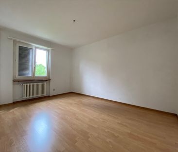 3 Zimmer, EG - Photo 2