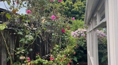 Executive Living in Waihi - Photo 5