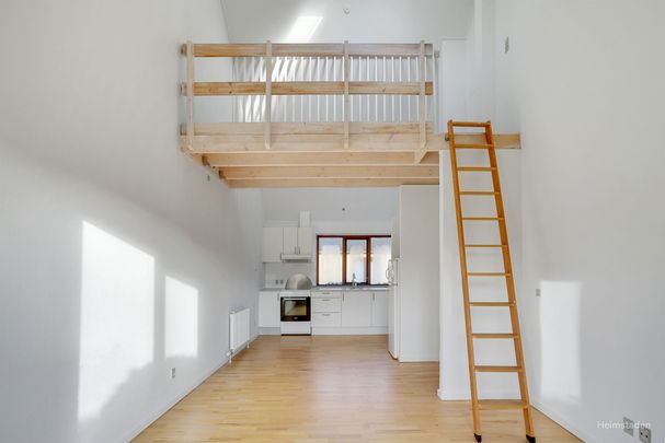 Attraktiv studiebolig i Odense SØ med terrasse - Photo 1