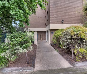 2/20 Pakington Street, Kew VIC 3101 - Photo 6