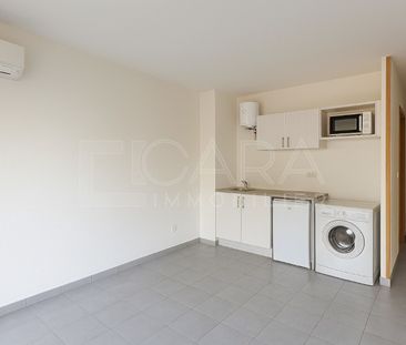Location Appartement 1 pièce 21m² CAYENNE 97300 - Photo 1