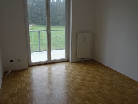 4470 Enns, Königgutstraße 6/003 - Photo 2