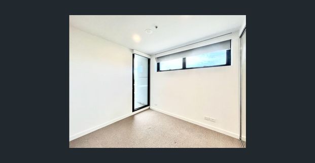 Sun Drenched - Lygon Place - Photo 1