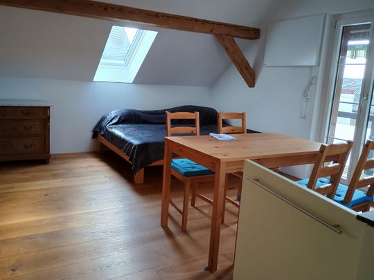 APPARTEMENT 1 PIÈCE À MATTSTETTEN (BE), MEUBLÉ, TEMPORAIRE - Photo 1