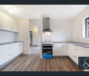 Spacious Family Home in the heart of Chapel Hill - Photo 2