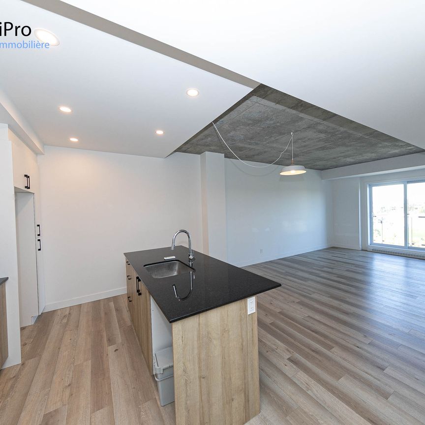 40 Cardinal Maurice-Roy – Le Lièvre - Photo 1