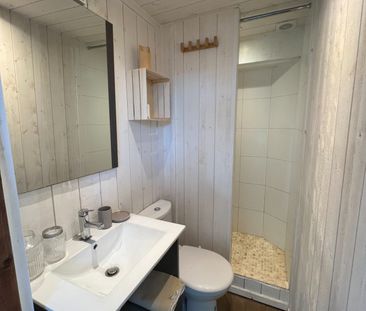 Location Appartement 1 pièce 18m² AIX LES BAINS 73100 - Photo 6
