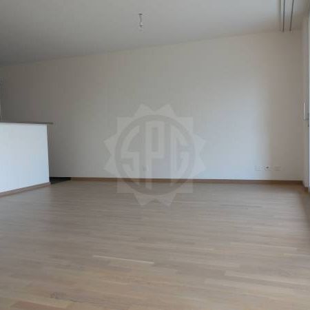 Bel Appartement - Nyon - Photo 1