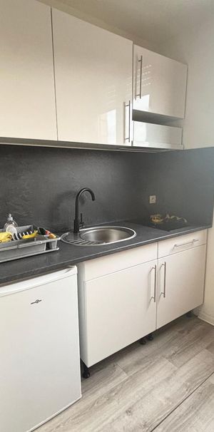 Location Appartement 1 pièce 12m² ST SAULVE 59880 - Photo 1