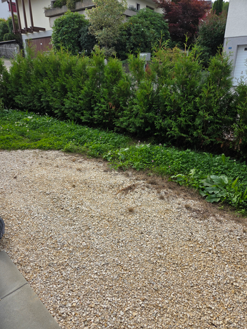 grosszügige Wohnung mit sehr modernem Ausbaustandart - Photo 2