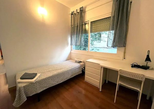 Carrer del Robí, Barcelona, Catalonia 08012