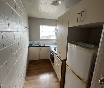 Situated in close proximity to the University of Waikato and other ... - Photo 4