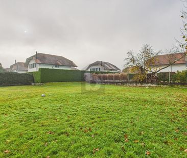 NEW, HISTORIC, LARGE GARDEN FOR SHARED USE - Photo 2