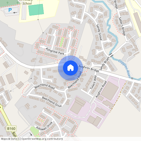 3 Beechland Road, Magherafelt, BT45 6BG