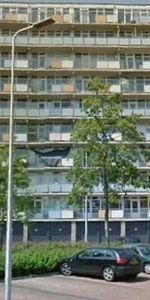Lupinesingel, 2403 Alphen aan den Rijn, Nederland - Foto 3