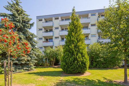 Für Einzelpersonen: gemütliche Wohnung mit 32,54 m² sofort verfügbar - Photo 2