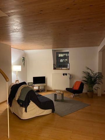 Duplex te huur - Photo 4