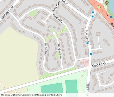 Tong Green, Farnley, Leeds, LS12 - Photo 1