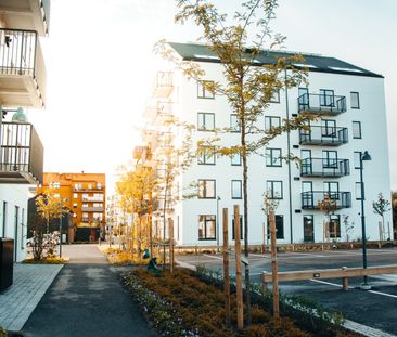 Kiselgatan 47 - Photo 6