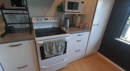 Renovated Family Home - Photo 4