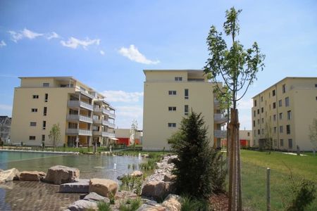 Moderner Ausbau - Grosszügige Räume - Photo 4