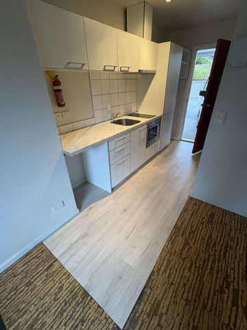 27/4 Lake Avenue, Frankton - Photo 3