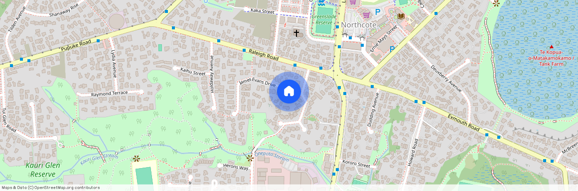 6 James Evans Drive, Northcote, North Shore City