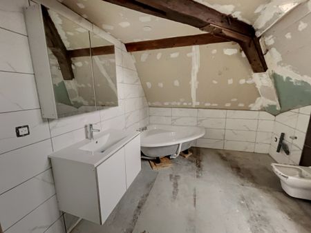 Location Appartement 1 pièce 22m² SELESTAT 67600 - Photo 4