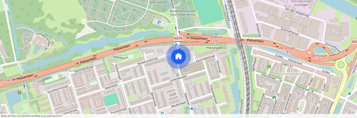 Selwerd, 9741 GH, Iepenlaan, Groningen