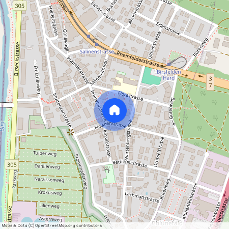 4127, Birsfelden, Fasanenstrasse, 13