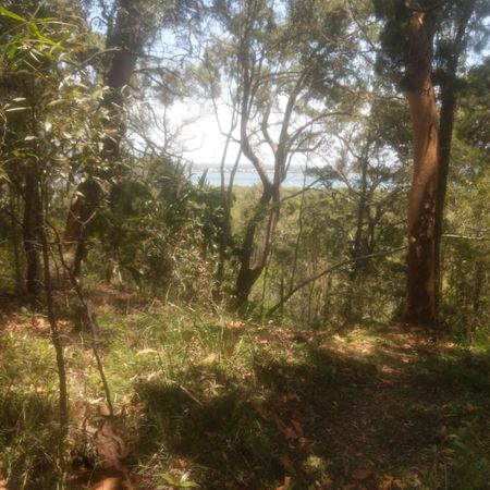 Coochiemudlo Island - Photo 4