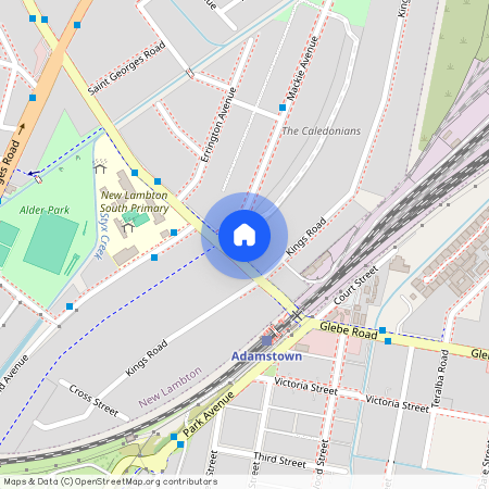 20A St James Road, New Lambton NSW 2305