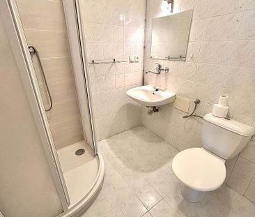 Pronájem bytu 1+kk 50 m² - Fotografie 5