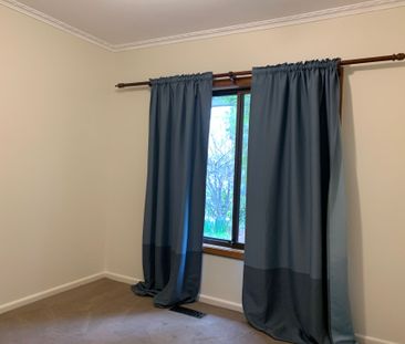 Price Drop--- Full Renovation 4 Bedrooms House - Photo 3