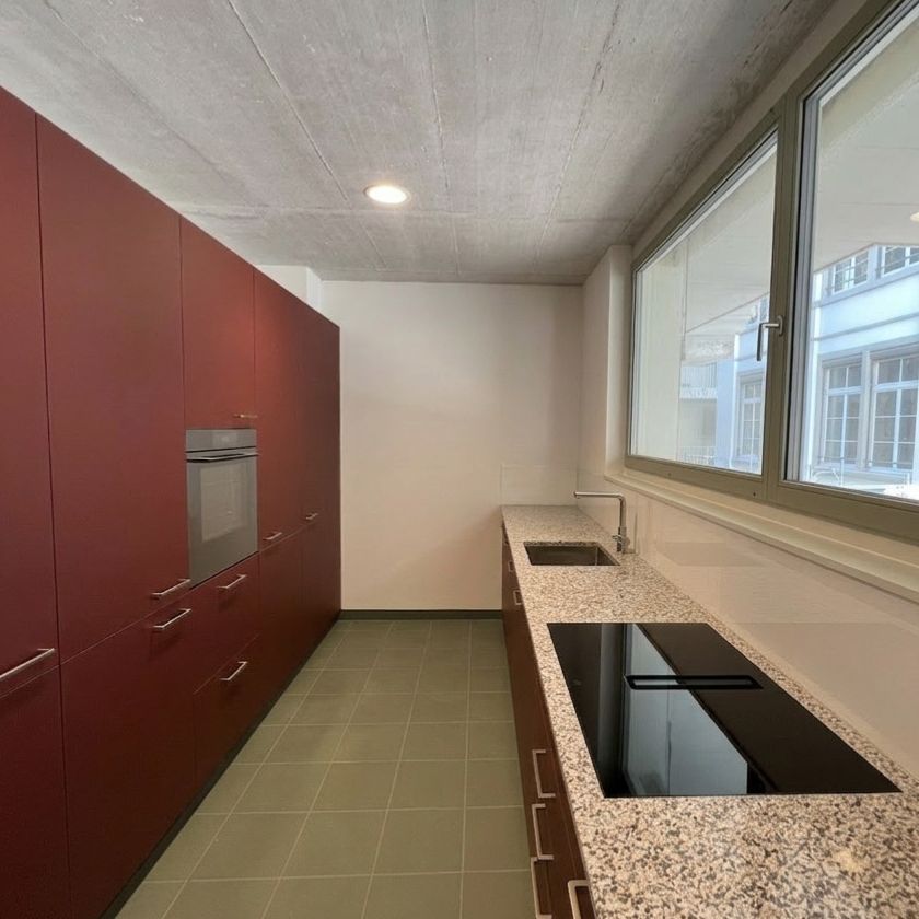 Tolle 3.5-Zi. Neubau-Wohnung mit gemütlichem Sitzplatz in der Altstadt - Photo 1
