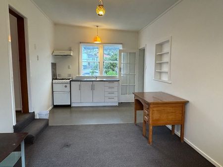 Beautiful 1 bedroom apartment in Mt VIC - Photo 4