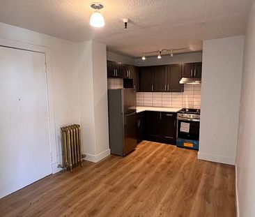 Newly Renovated 1 Bedroom in the Heart of Mt Pleasant! - Photo 1