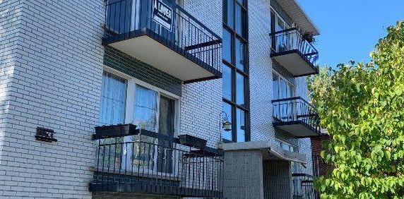 Grand 4 1/2 LeMoyne/Longueuil - Photo 2