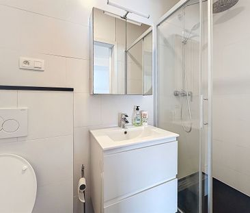 Appartement meublé avec mezzanine - Photo 2