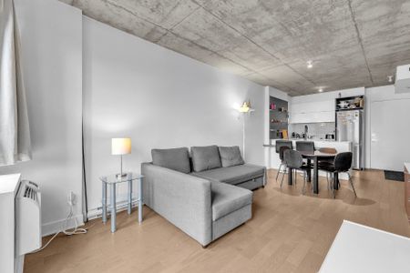 195 Rue Peel, Montréal (Le Sud-Ouest), QC H3C - Photo 3