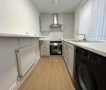 12 Melrose Street, Belfast, BT9 7DN - Photo 5