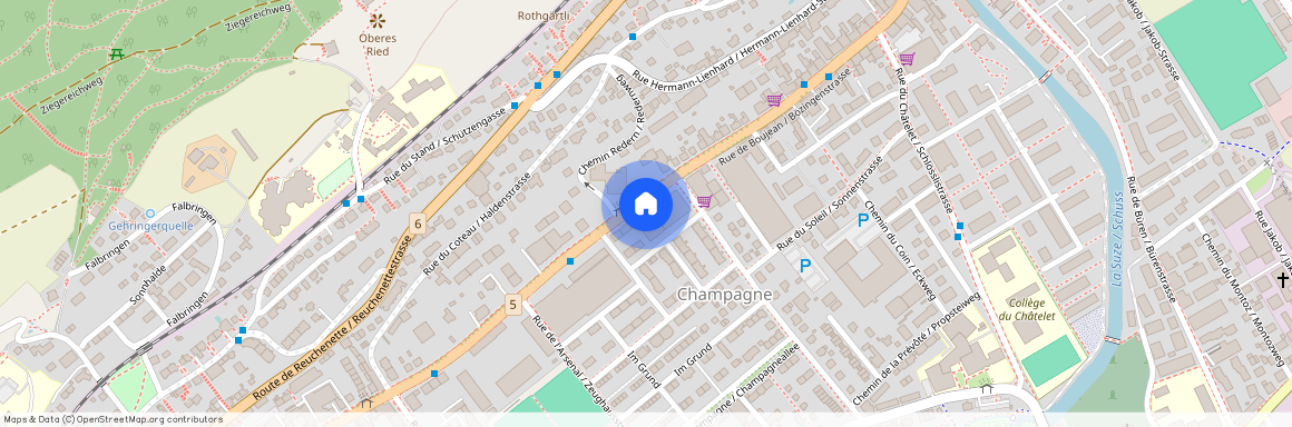 2502, Biel/Bienne, Rue De Boujean / Bözingenstrasse, 92