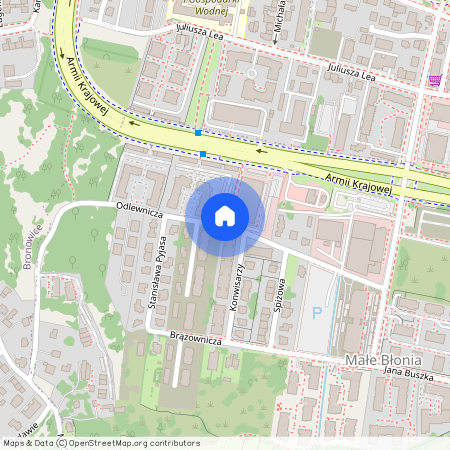 ul. Odlewnicza, Małe Błonia, Krowodrza, Kraków, małopolskie