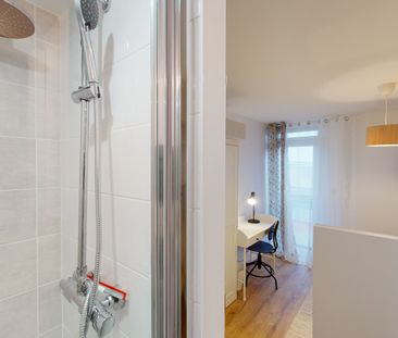 LOMBEZ LEJ Roommate 3 Bedrooms at Toulouse - Photo 3