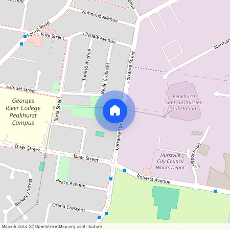 46 Lorraine Street, NSW 2210, Peakhurst