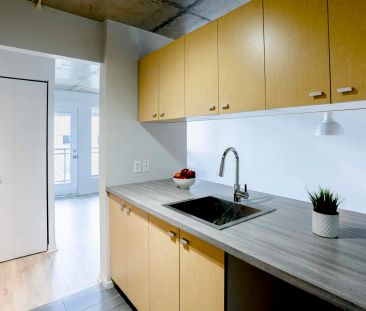 325, rue de Saint-Vallier — 4 1/2 - Photo 4