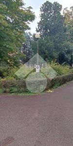 Trilocale in affitto - Photo 3