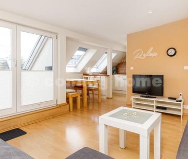 Perfect Single Living - Photo 2