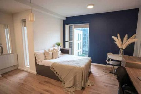 Luxury Studio - Photo 5